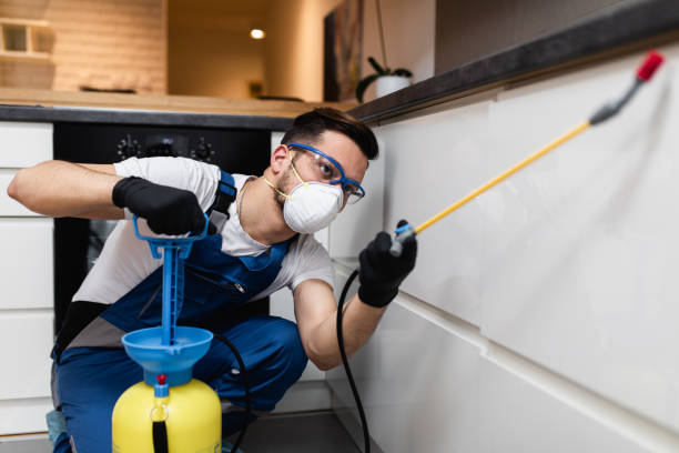 Best Termite Control Services  in Northwest Harbor, NY