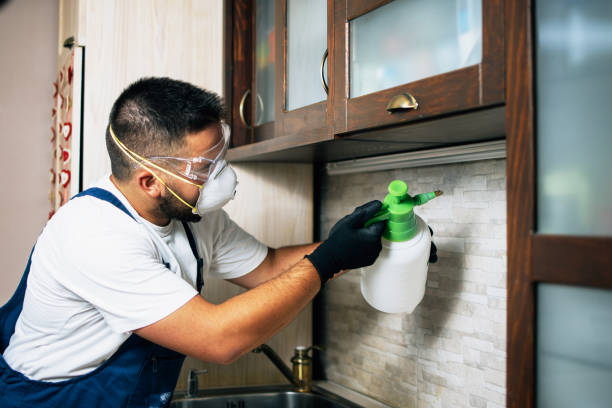 Best Insect Control  in Northwest Harbor, NY