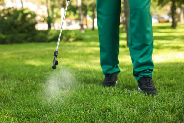 Best Best Pest Control Companies  in Northwest Harbor, NY
