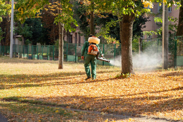 Best Wildlife Control Services  in Northwest Harbor, NY
