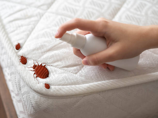 Best Pest Control Treatment  in Northwest Harbor, NY